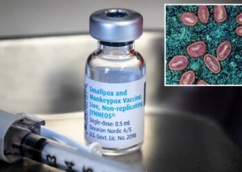 Mpox outbreak hits California county as health officials probe US spread