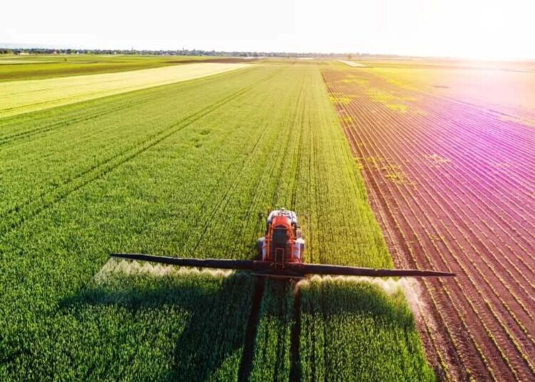 ‘Worst I’ve seen’: Texas Farm Bureau chief sounds alarm on Trump economy as farmers revolt