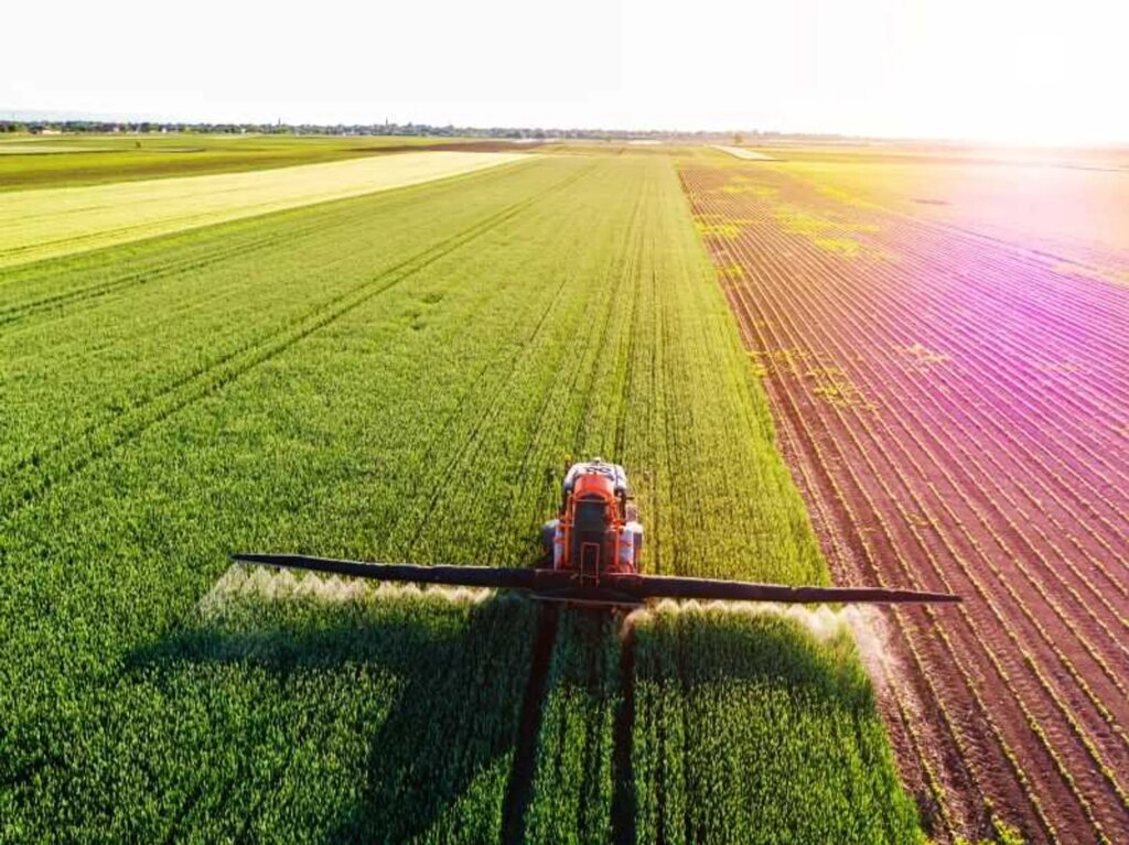 ‘Worst I’ve seen’: Texas Farm Bureau chief sounds alarm on Trump economy as farmers revolt