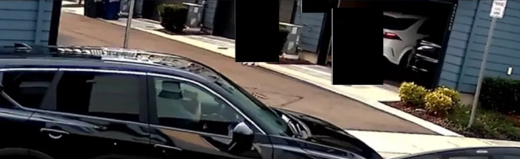Surveillance camera image of Wanying Zhang, also known as 