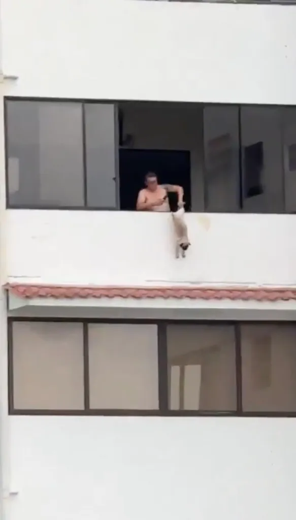Héctor Alejandro Rosales Bonilla holding a dog by its legs over the edge of an apartment balcony.