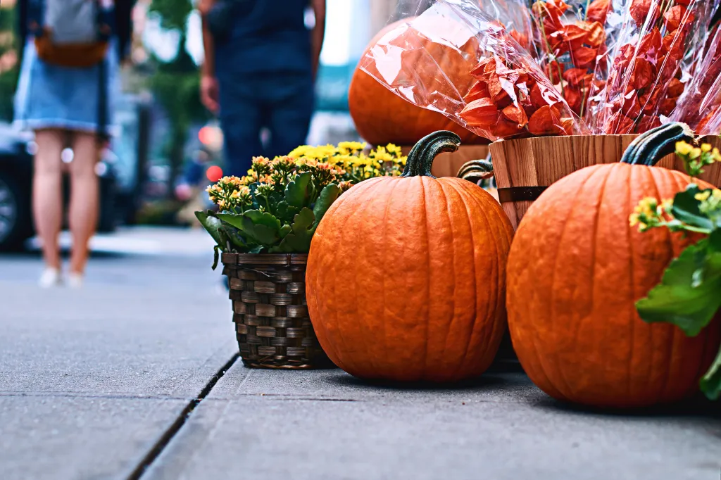 Halloween display of pumpkins, Chinese lanterns, and yellow mums outside a New York shop.