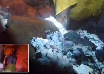Hero Mississippi neighbor digs through smouldering wreckage with his hands to rescue boy, 4, trapped in house fire