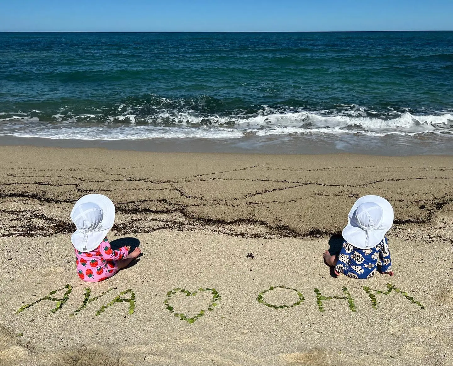 Hilary Swank's twins sit on a beach with the names 