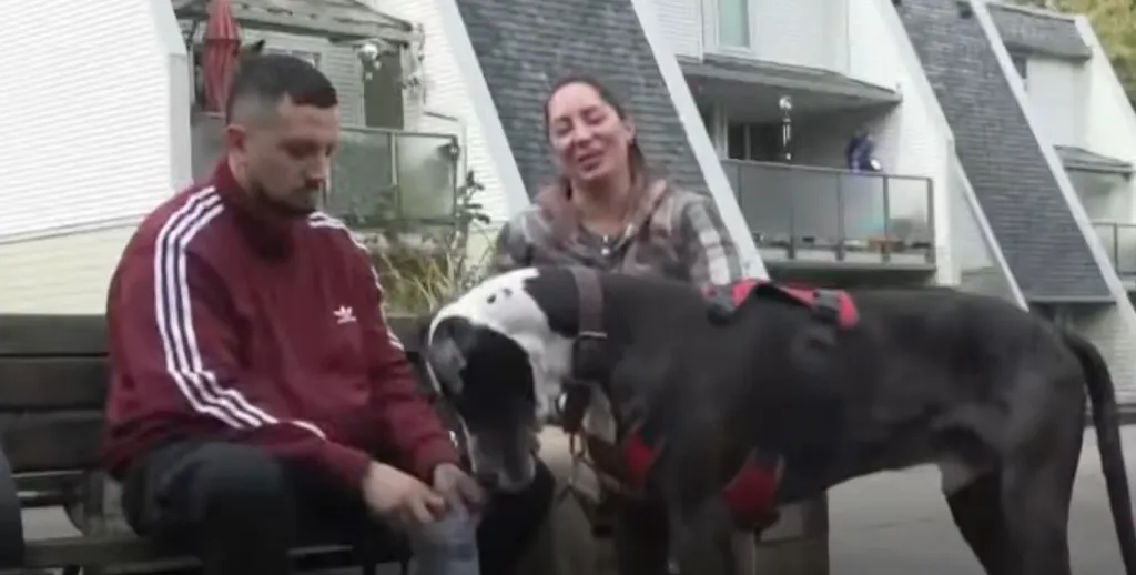 Matias Rodriguez revealed the challenges he has faced trying to fly home to Chile with his service dog, Logan, a massive Great Dane.