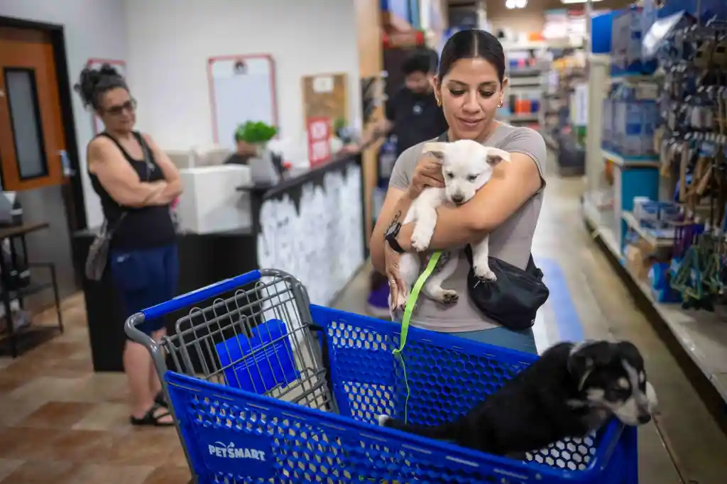 Jamilet Ramos holds her puppy Canelo while puppy Rocky sits in a shopping cart at a low-cost veterinary clinic inside a PetSmart.