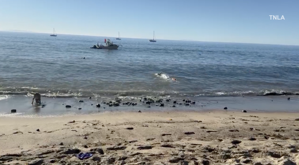 Paradise Cove in Malibu where a kayaker was attacked by a shark.