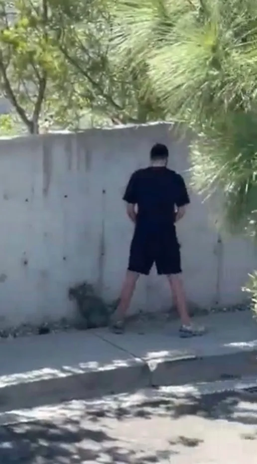 A man urinates against a concrete wall near the Hollywood sign.