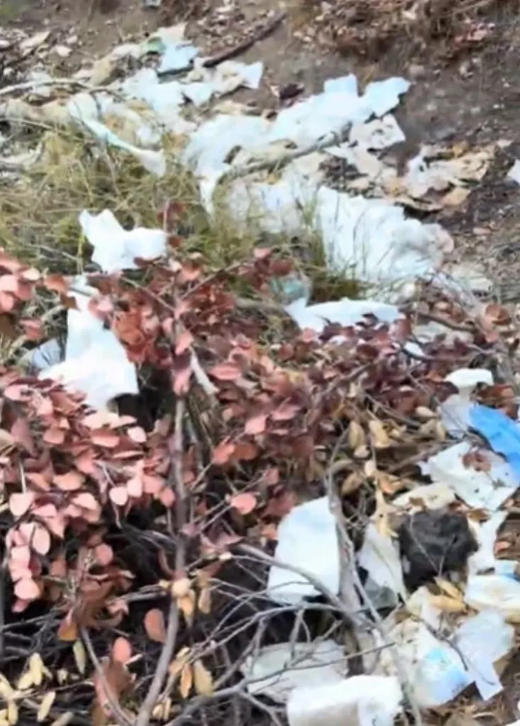 Discarded toilet paper and trash littered on the ground near the Hollywood sign.