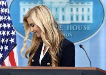 ‘Sort of a pyramid scheme’: Trump’s new hire sheepishly explains decade-long gap in resume