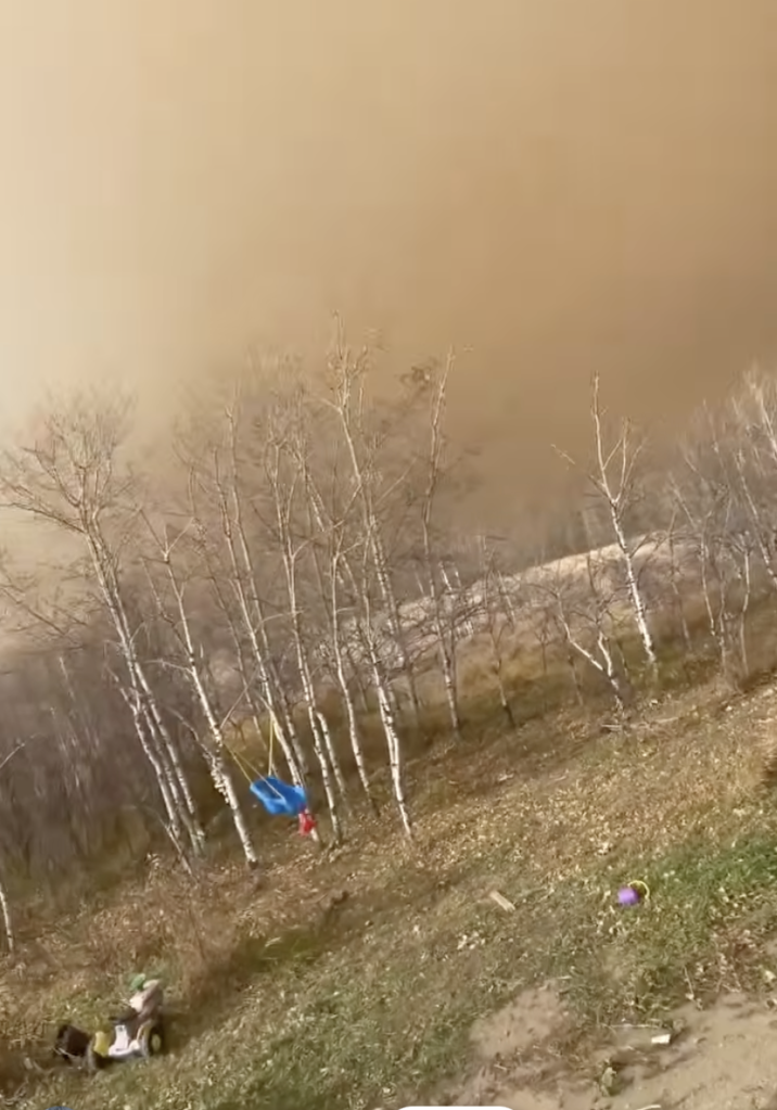 A thick, yellow-brown smoke haze blankets the sky above a row of bare trees and a grassy hill in Alberta, following a major fire incident.