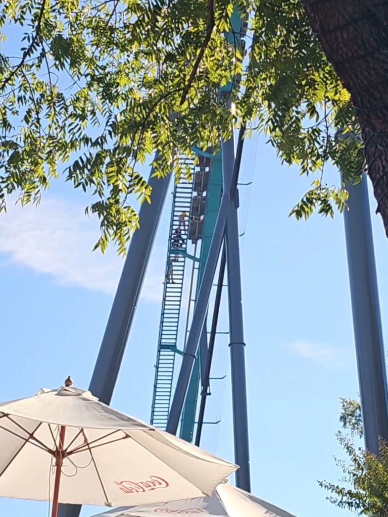 Low-angle shot of the Goliath rollercoaster track at Six Flags Over Georgia, framed by tree branches and a white umbrella.