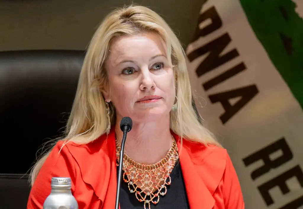 Mayor Ashleigh E. Aitken at a city council meeting.