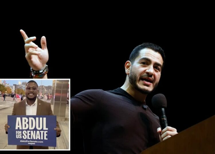 El-Sayed supporters urge progessive policy to fight economic woes