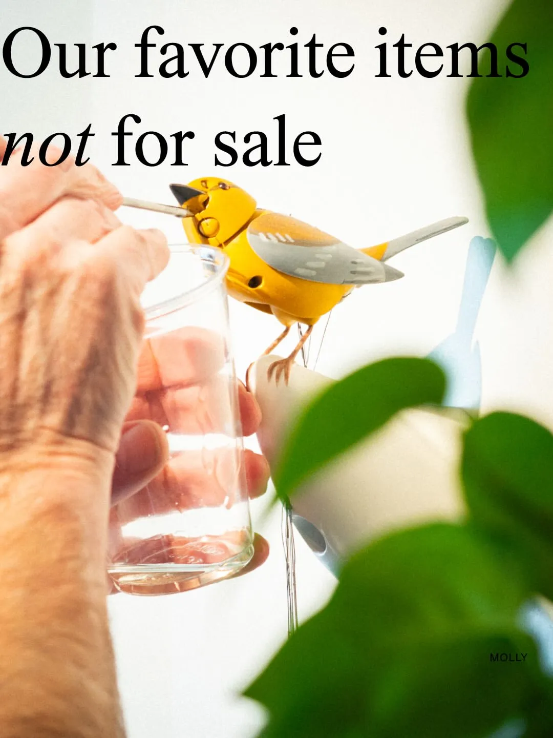 A person holding a glass while interacting with Molly, a yellow animated toy bird, with the text