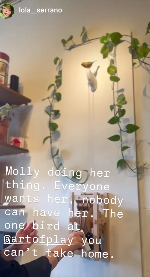 Molly, the animated bird mechanism, mounted on a white wall surrounded by potted vines.