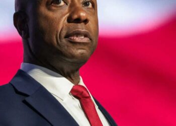 Outrage after Tim Scott uses slur against Dem candidate: ‘Such a tool’