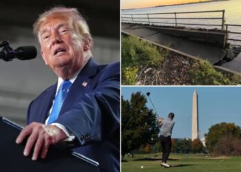 Judge infuriates Trump by blocking plans to renovate historic DC golf course: ‘I am not the Lorax’