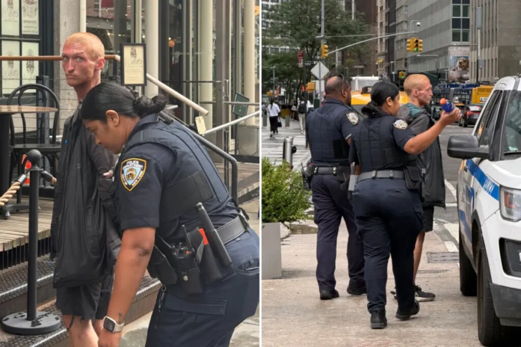 NYC madman arrested twice for attacking 4 women over 2-day period — walks free both times: ‘Most insane story ever’