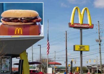 McDonald’s dealt legal setback as judge allows lawsuit over McRib’s ‘lack of rib meat’ to proceed