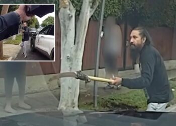 Moment madman with polesaw charges cops before he’s shot dead in bloody scene