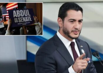 Democratic organizer fired after alleging Abdul El-Sayed is taking foreign money in Michigan Senate race: report