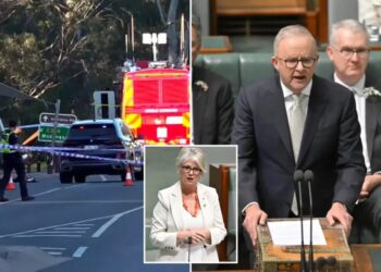 Australian Parliament pays tribute to injured lawmaker as it resumes work under increased security