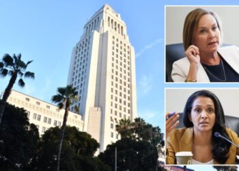 Lefty LA Council blasted over plan to study city-owned bank: ‘We can’t even manage our own damn finances’