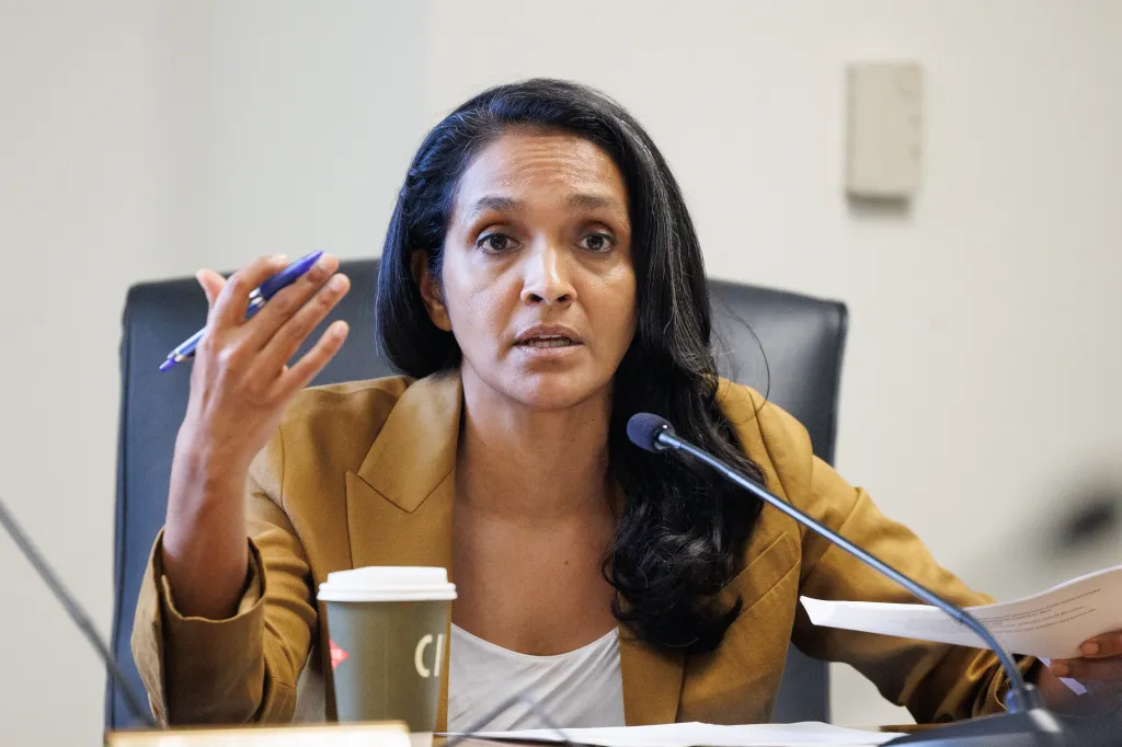 Nithya Raman speaks at a City Council meeting in Los Angeles.