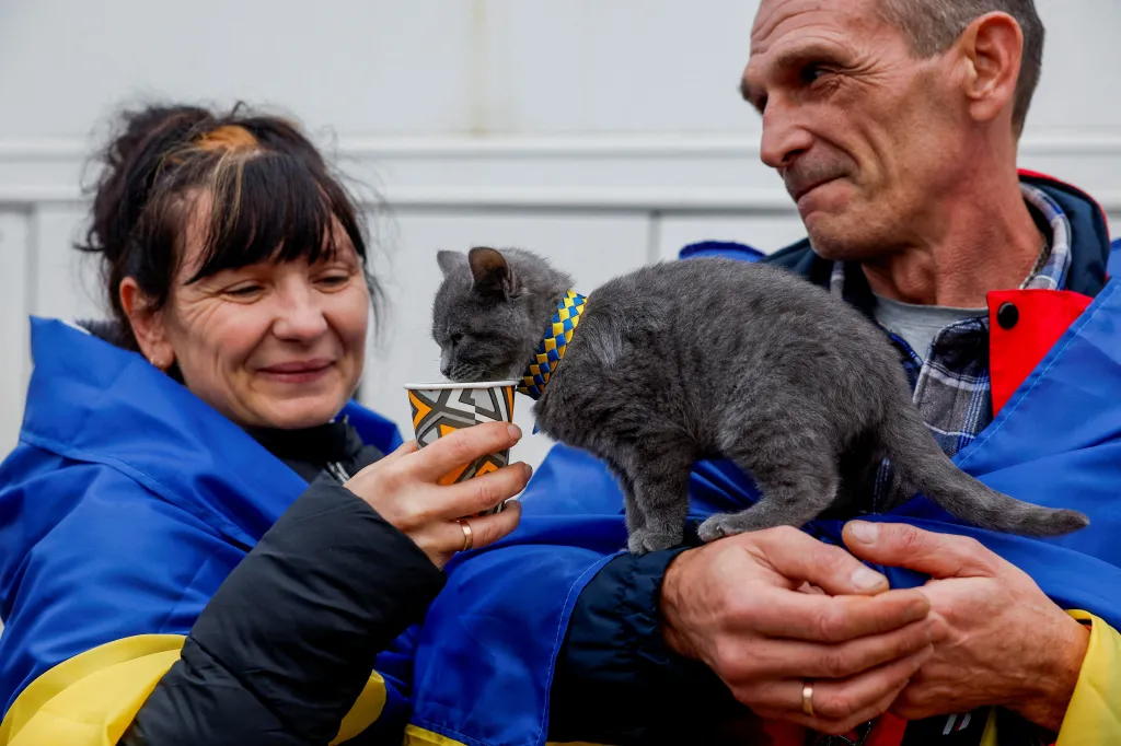 Evacuated residents Oksana and Valerii feed their cat Botsman after returning to Ukrainian-controlled territory.