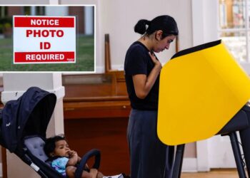 Absurd court farce on noncitizen ballots leaves Voter ID as the only cure