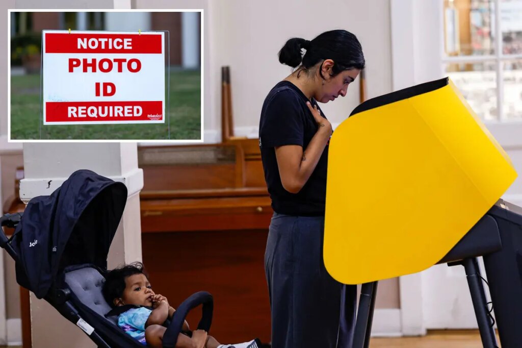 Absurd court farce on noncitizen ballots leaves Voter ID as the only cure