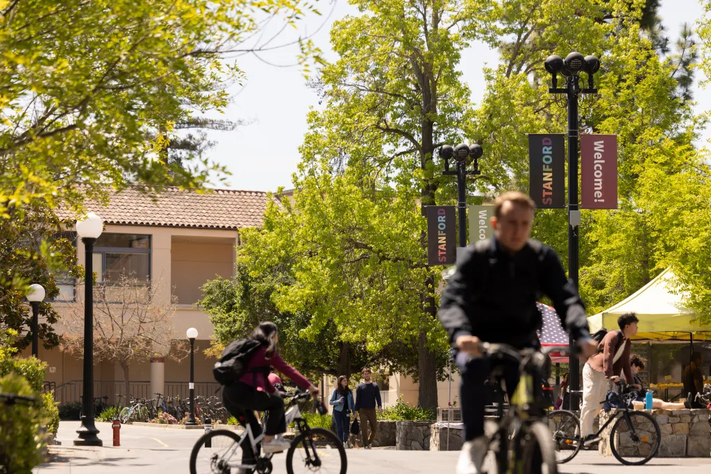 People ride bicycles on the campus of Stanford University.