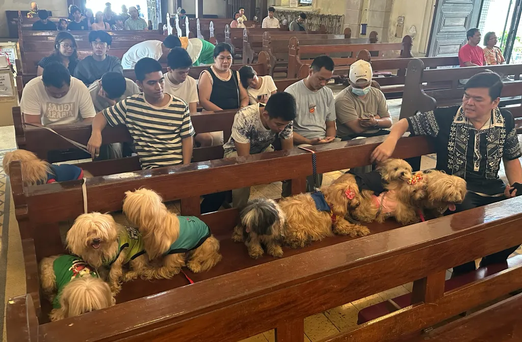 Pets wait to attend a service to mark the feast day of St. Francis of Assisi at a church in Manila, Philippines.