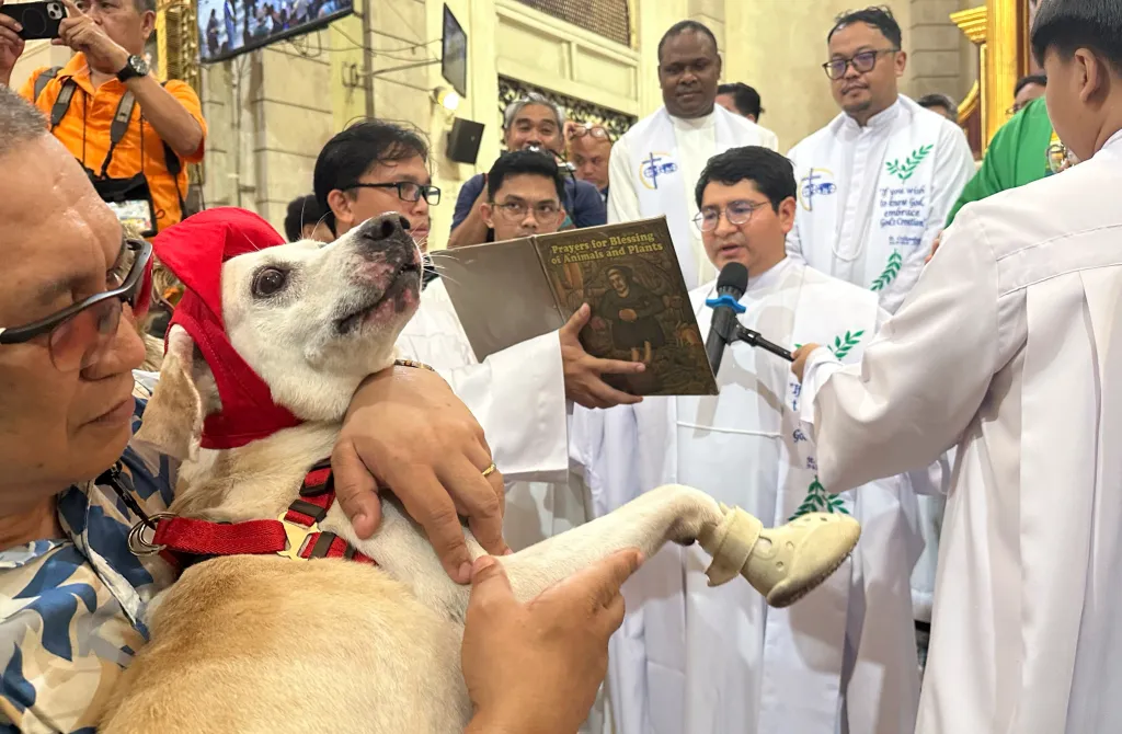 A priest presides over a blessing ritual for a dog wearing a red hood at the Malate Church in Manila, Philippines.