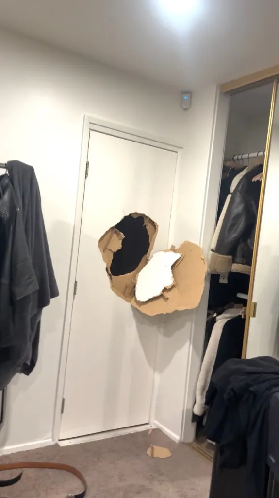 A large, jagged hole in a white interior door.