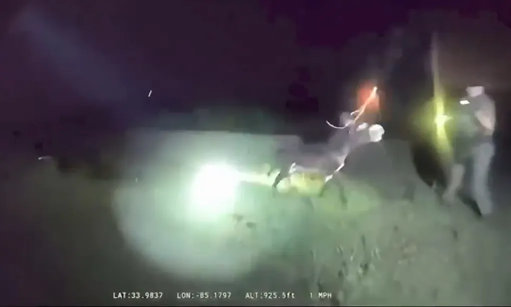 Police bodycam footage of a miniature donkey getting shot by a cop at night.