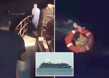 Bizarre reason woman went overboard on a Royal Caribbean cruise ship revealed