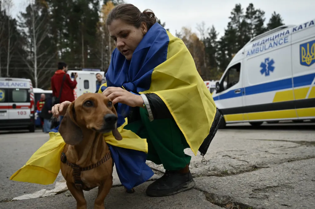 A resident evacuated from Oleshky attaches a Ukrainian flag to her dog upon arriving in Ukraine.