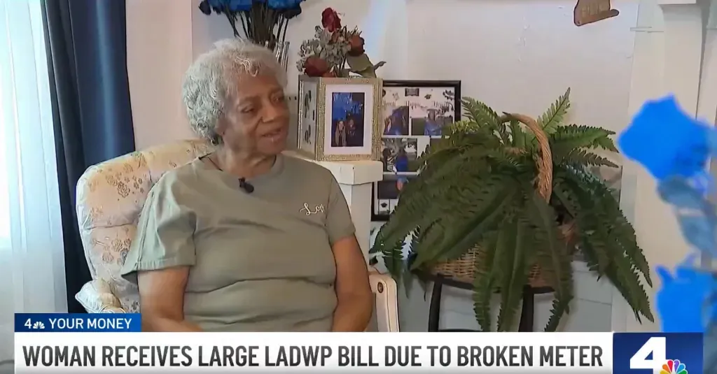 Retired nurse Joyce Howell and her husband, a Vietnam War veteran, billed over $9,200 by LADWP after a utility meter was broken for 3 years.