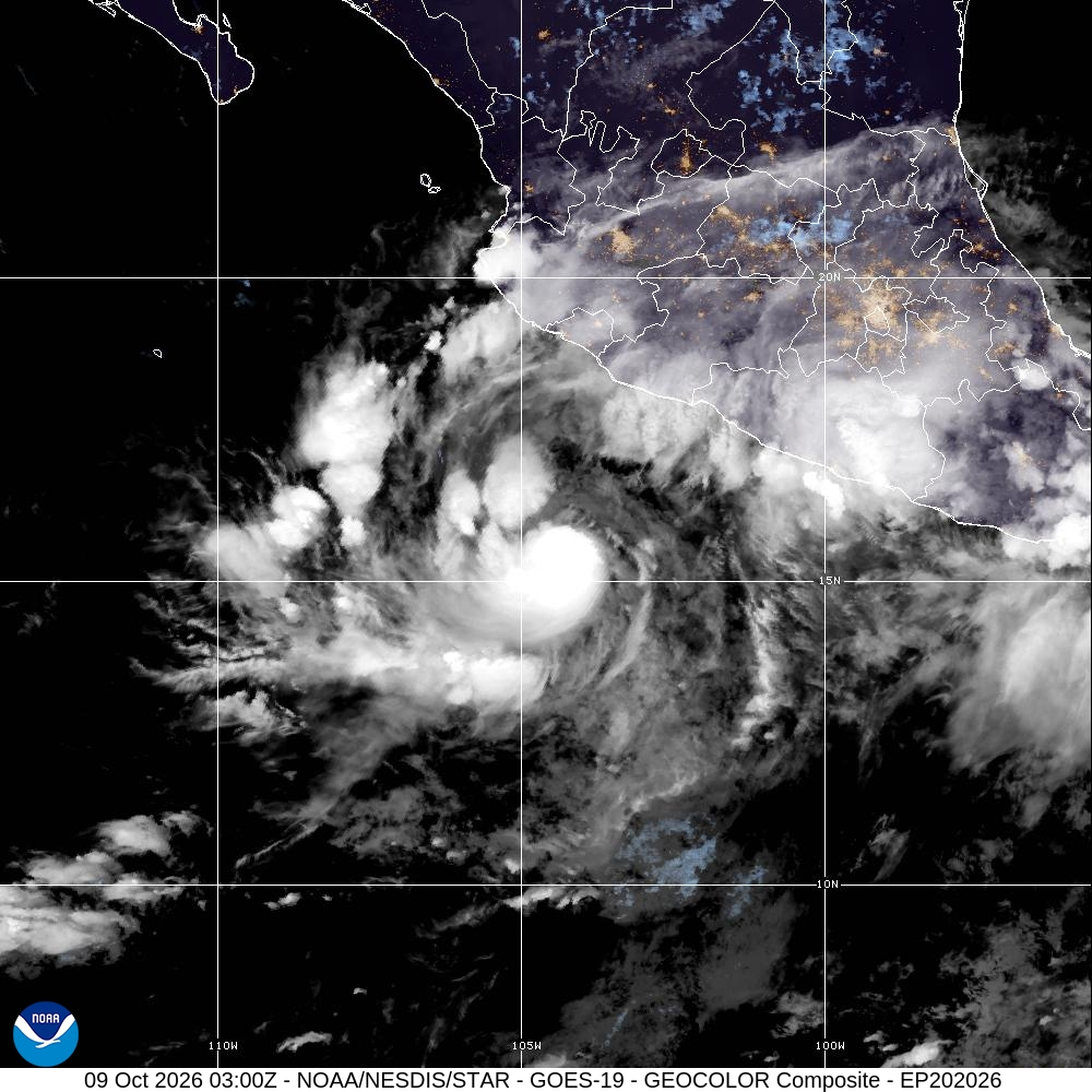  Category 4 hurricanes on the Saffir-Simpson scale have maximum sustained winds of 210-250 kph (130-156 mph).