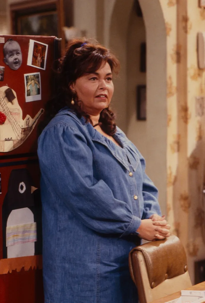 Roseanne Barr as Roseanne Conner on the television sitcom Roseanne.
