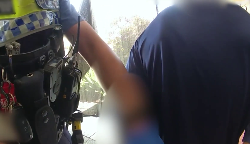 Police officers detaining a person.