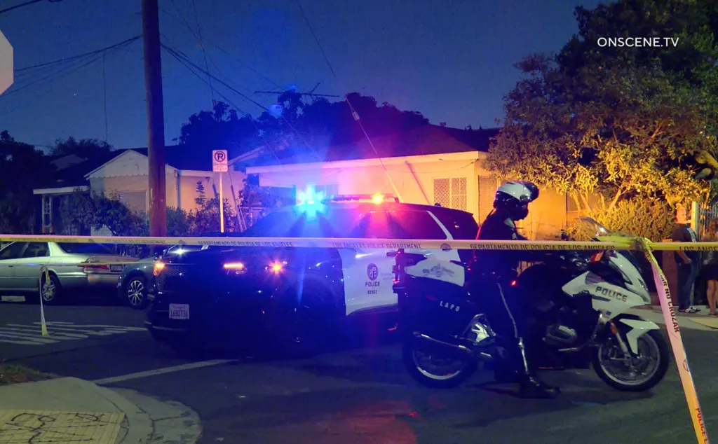 Police vehicles and officers at the scene of a fatal hit-and-run crash in Hyde Park.