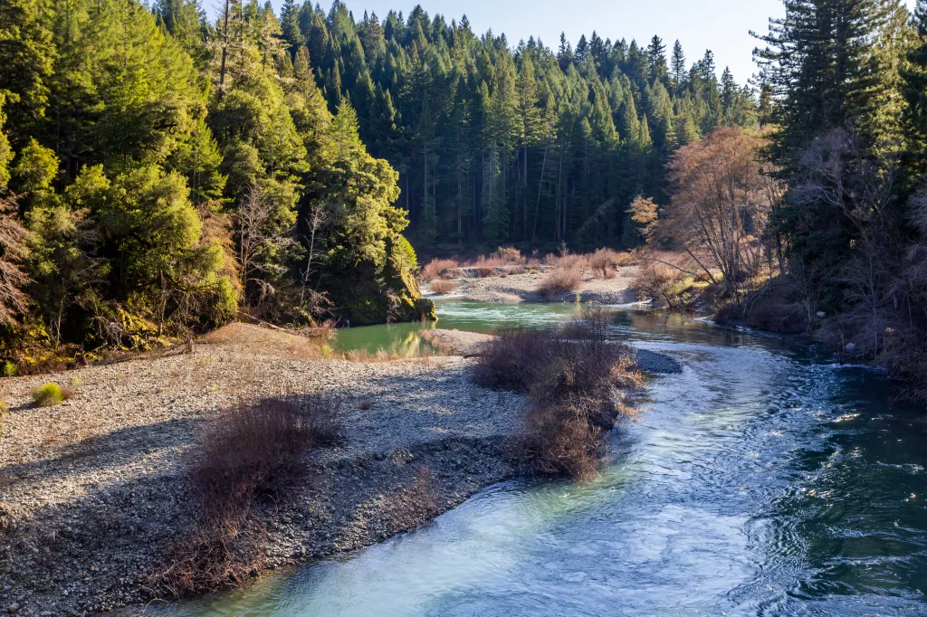 The South Fork Eel River winds through a forest and gravel banks in California.