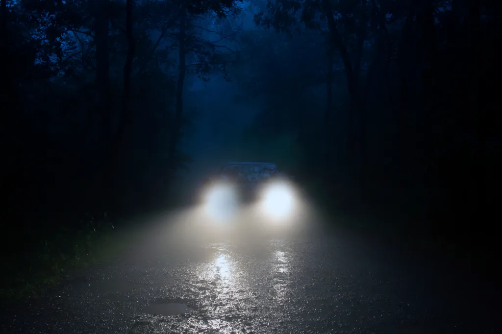 Car headlights shine through the fog on a forest road at night.