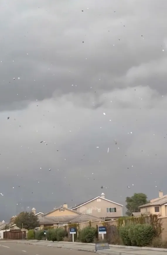 Strong swirling winds sweep through a neighborhood, lifting debris into the air.
