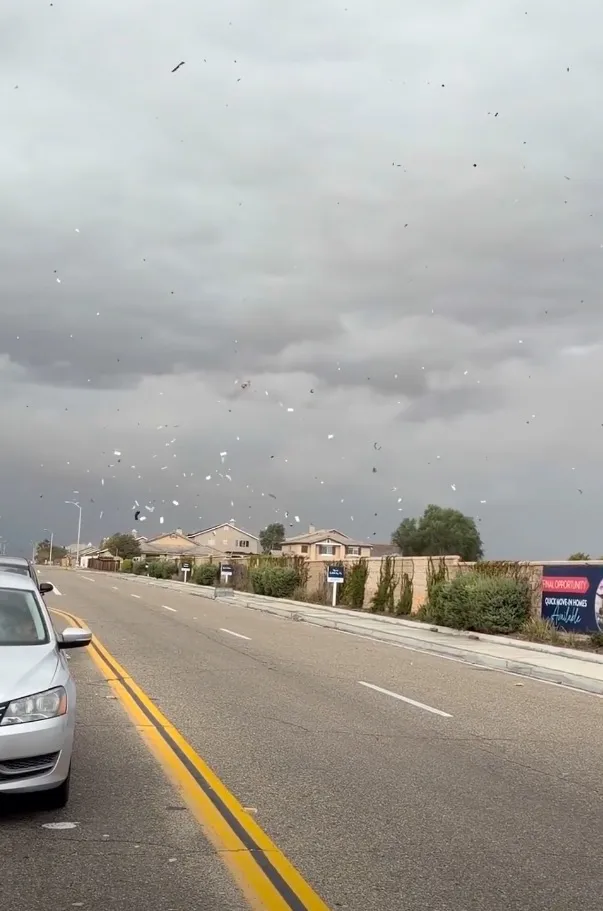 Strong swirling winds sweep through a neighborhood, lifting debris into the air.