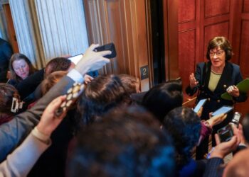 ‘You can’t make it up’: Social media pounces on Trump’s last-minute move for Susan Collins