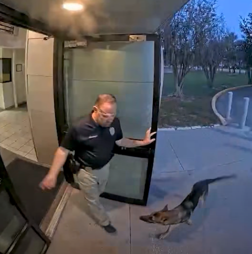 Security camera footage of a police officer stepping out of a building as a dog approaches.